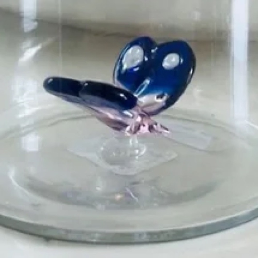 Beautiful Peekaboo Tumbler Glass